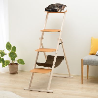 Image showing 5 th Richell 49.5 in. Foldable Cat Ladder