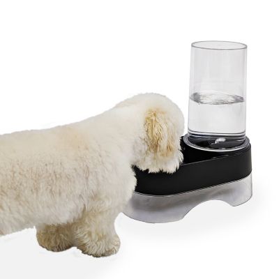 Image showing 7 th Richell Elevated Gravity Pet Water Dispenser