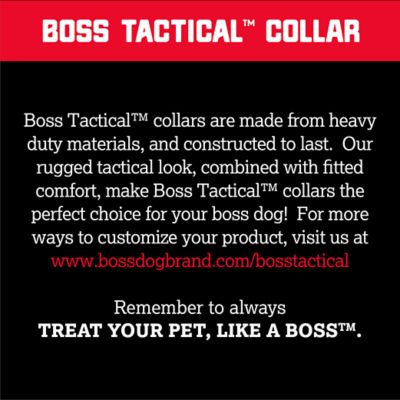 Image showing 4 th Boss Dog Tactical Dog Collar