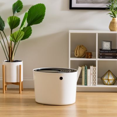 Image showing  Top Entry Cat Litter Box, Oval