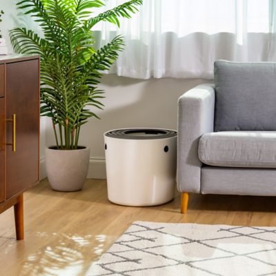 Image showing  Top Entry Cat Litter Box, Oval