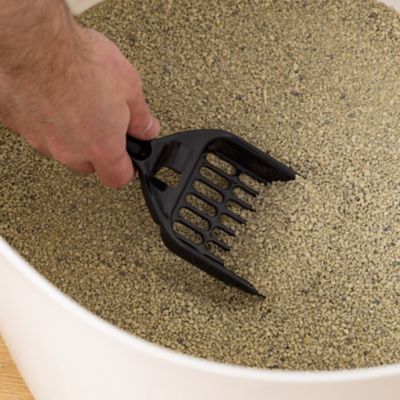 Image showing  Top Entry Cat Litter Box, Oval