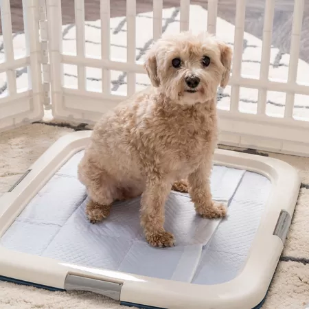 IRIS USA Indoor Pet Training Mat Holder Square Indoor Pet Potties