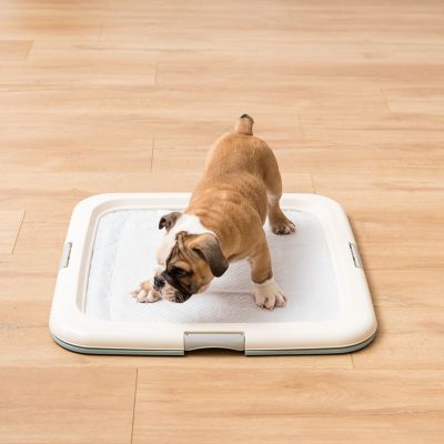Image showing  Indoor Pet Training Pad Holder, Square