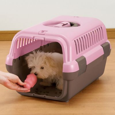 Image showing  Pet Travel Carrier II