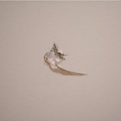 Image showing 5 th Dap 1 pt. Fast Dry Premium Spackling