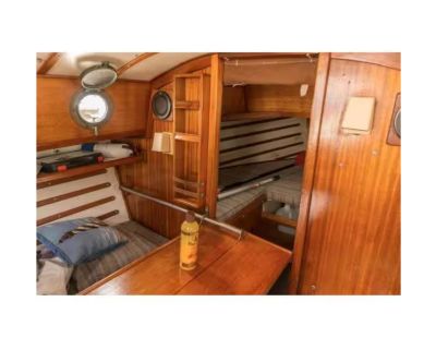 Image showing  FW0016 16 oz. Feed N Wax, 22244