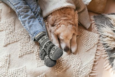 Image showing  Women's Fireside Sven Snowflake Crew Socks, 5-10, 1-Pair