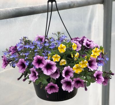 Barnes 10 in. Hb Premium