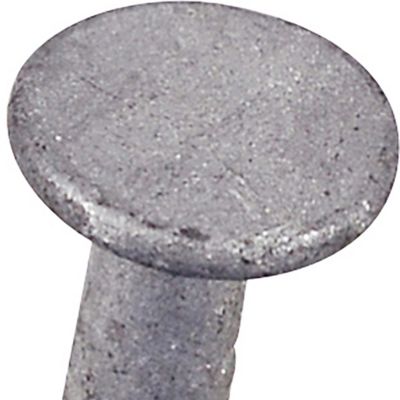 Image showing  1-1/2 in. Fas-N-Tite Hot Dipped Galvanized Common Nails, 1 lb.