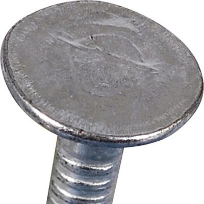 Image showing  Fas-N-Tite Electro-Galvanized Roofing Nails (1 in.) - 1lb