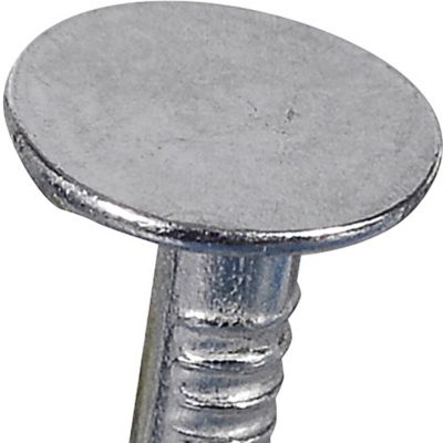 Image showing  Fas-N-Tite Electro-Galvanized Roofing Nails (1-3/4 in.) - 1lb