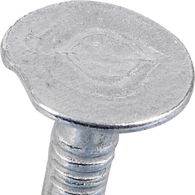Image showing  Fas-N-Tite Electro-Galvanized Roofing Nails (7/8 in.) - 1lb