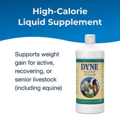 Image showing  Dyne High Calorie Liquid Nutritional Supplement for Livestock, 32 oz.