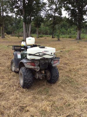 Image showing  2 lb. Spray Tank Cleaner