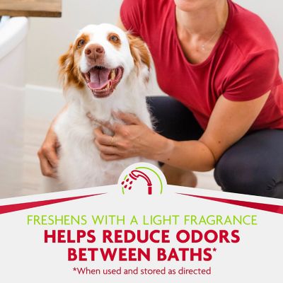 Image showing  Dry Shampoo Fresh and Clean Scent 7oz