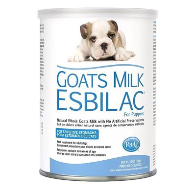 Image showing  Goat's Milk Esbilac Puppy Milk Replacer Powder