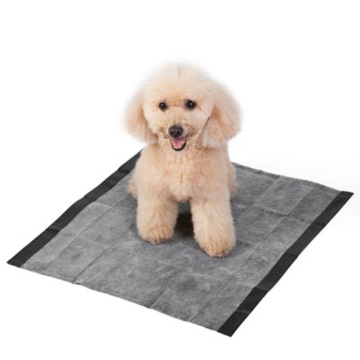 Image showing  for Pets Activated Carbon Training Pads, 30 ct.