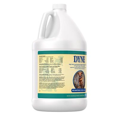 Image showing  Dyne High-Calorie Adult Liquid Nutritional Supplement Dog Food Topper, 32 oz.