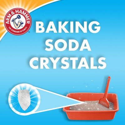 Image showing 5 th Arm & Hammer Double Duty Scented Clumping Clay Cat Litter