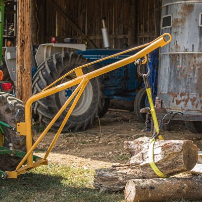 Image showing  1,000 lb. Boom Pole