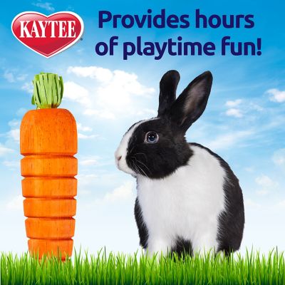 Image showing  Bunny Flip-N-Toss Toy Carrot