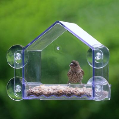 Image showing  Clear View Window Feeder