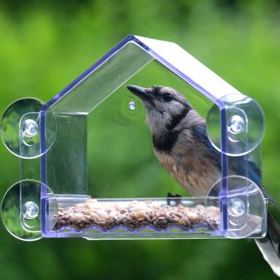 Image showing  Clear View Window Feeder