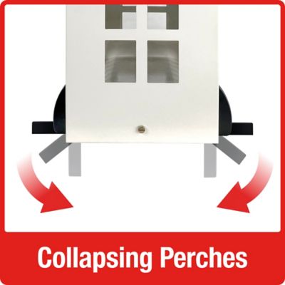 Image showing 6 th Squirrel Shield Squirel Shield B&W Farmhouse Feeder