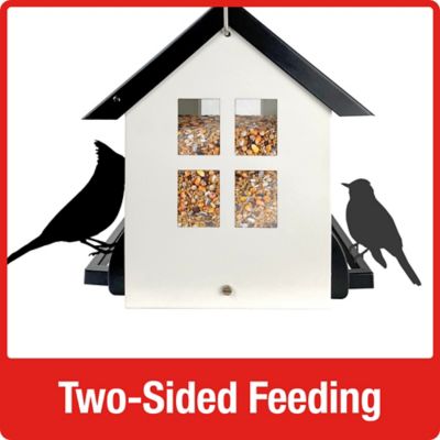 Image showing 9 th Squirrel Shield Squirel Shield B&W Farmhouse Feeder
