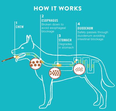 Image showing 6 th TruRanch 6 in. Colla-Rolls Chicken and Collagen Recipe Dog Chews, 4 pk.