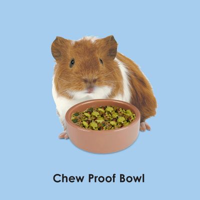 Image showing 1 th Super Pet Stoneware Hamster Food Dish, 3 in.