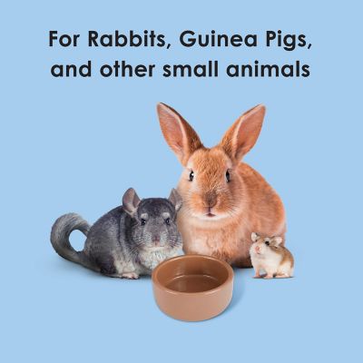 Image showing 2 th Super Pet Stoneware Hamster Food Dish, 3 in.