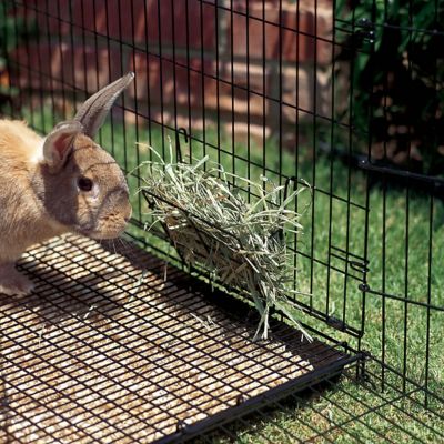 Image showing  Small Animal Hay Manger