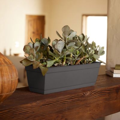 Image showing 5 th Bloem Dura Cotta Rectangular Window Box Planter, 24 in., Charcoal