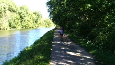 Image showing  Fold A Bowl Pet Water Bottle Blue