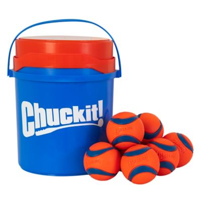 Chuckit! Bucket with Medium Ultra Balls, 8 pk.