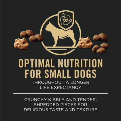 Image showing  Specialized Shredded Blend Beef & Rice Formula High Protein Small Breed Dry Dog Food