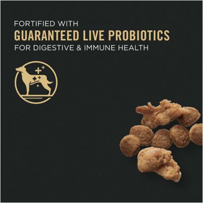 Image showing  Specialized Shredded Blend Beef & Rice Formula High Protein Small Breed Dry Dog Food