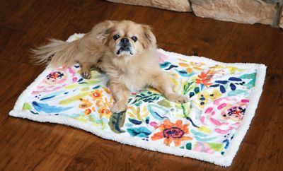 CARSTENS Field Of Flowers S/M White Sherpa Blanket