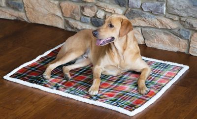 CARSTENS Rust Sage Plaid White L/XL Sherpa Blanket