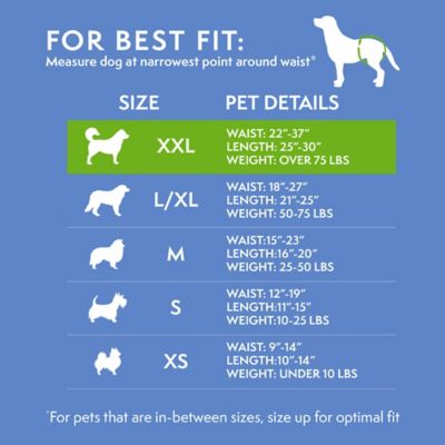 Image showing  Disposable Female Dog Diapers XXL, 12 pk.