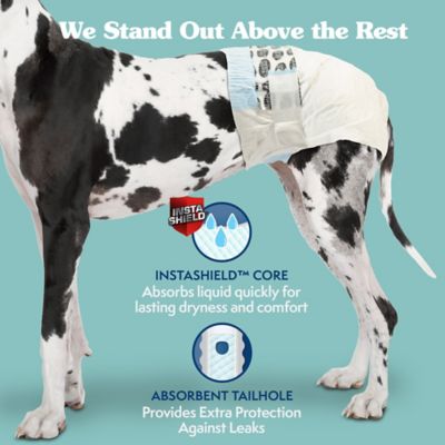 Image showing  Disposable Female Dog Diapers XXL, 12 pk.
