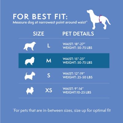 Image showing  Male Disposable Dog Wraps, Medium, 12 pk.