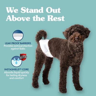 Image showing  Male Disposable Dog Wraps, Medium, 12 pk.