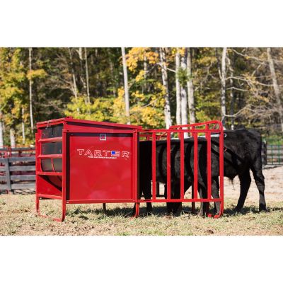 Image showing  650 lb. Calf Creep Feeder, 4 Calf Stall Openings, Red