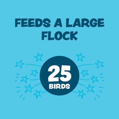 Image showing  10 lb. Hanging Poultry Feeder