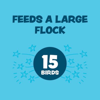 Image showing  7 lb. 15-Bird Chicken Feeder