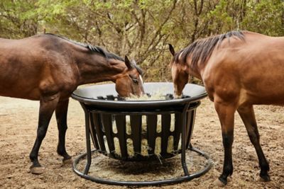 Image showing  2 Square Bale Poly Equine Hay Basket