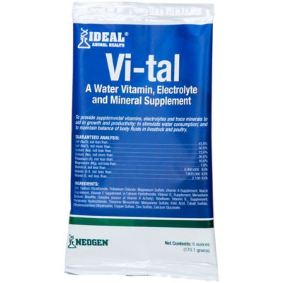 Multipet Ideal Animal Health Vi-tal Water Vitamin Electrolyte and Mineral Supplement, 6 oz.